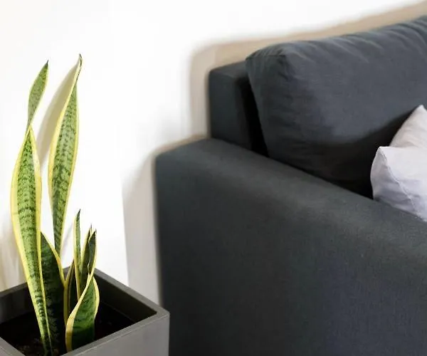 Diwani Luxury Villas * Ликсури