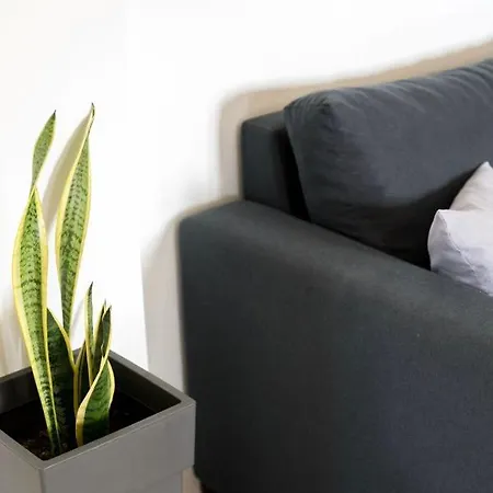 Diwani Luxury * ليكسوري